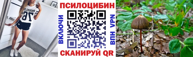 Галлюциногенные грибы Psilocybe  Тобольск 